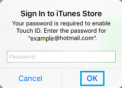 Введите пароль Apple ID на iPhone