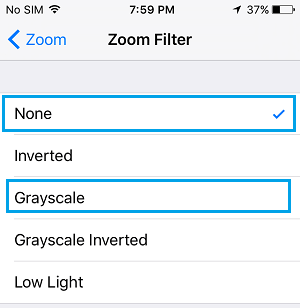 Фильтр «Оттенки серого» установлен на «Нет» на iPhone