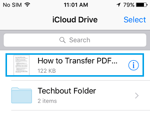 Загруженный PDF-файл на iCloud Drive