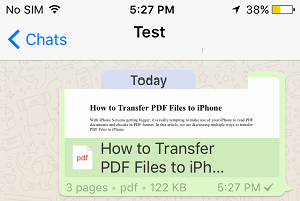 PDF-файл получен в WhatsApp для iPhone