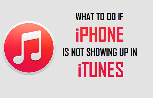 Что делать, если iPhone не отображается в iTunes