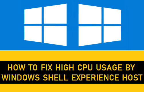 Shell experience host. Experience host