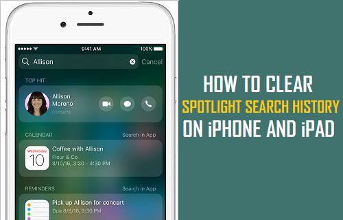 Очистить историю поиска Spotlight на iPhone и iPad