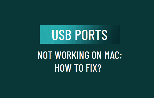 USB-порты не работают на Mac