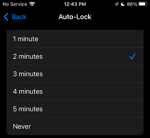 Выберите период автоматической блокировки экрана на iPhone
